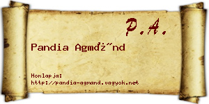 Pandia Agmánd névjegykártya